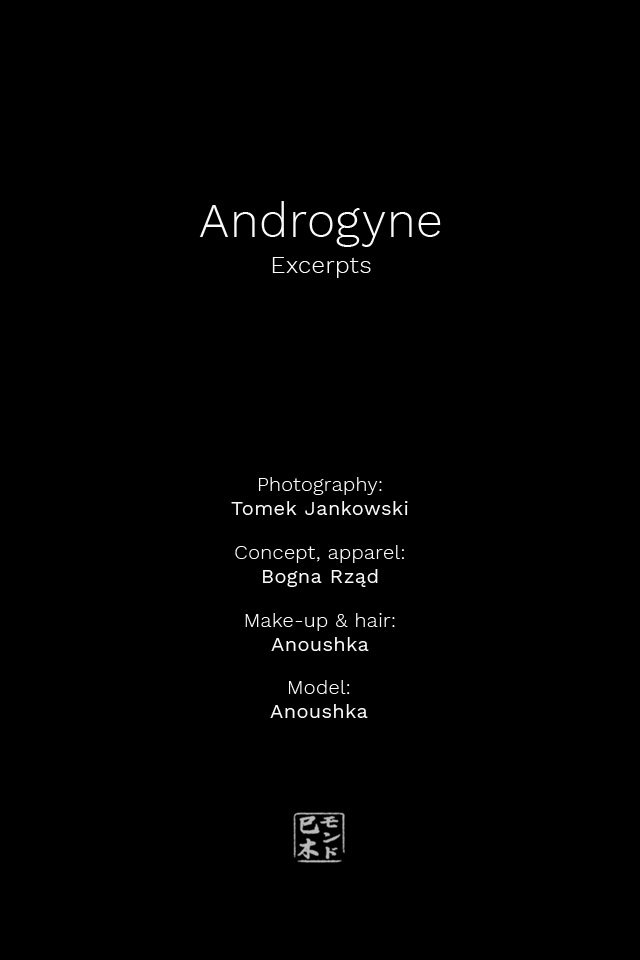 Fine Art Androgyne Project Info